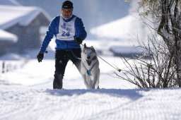 Lenk 2013